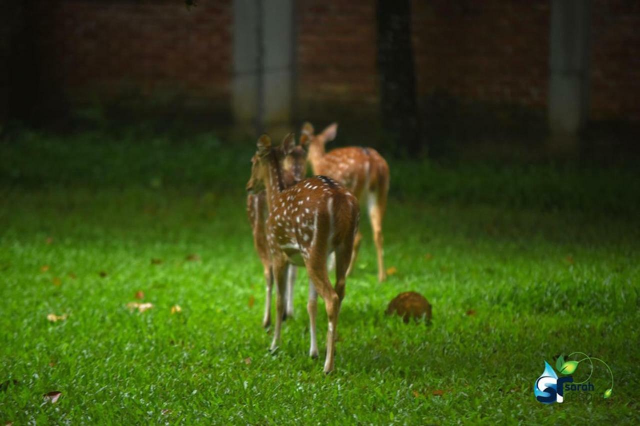 Sarah Resort Gazipur Bagian luar foto